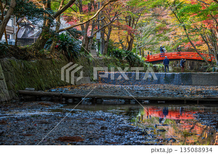 森町の遠江国一宮小國神社の紅葉の風景(静岡県) 135088934