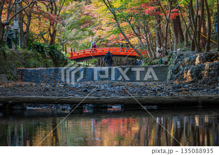 森町の遠江国一宮小國神社の紅葉の風景(静岡県) 森町の遠江国一宮小國神社の紅葉の風景(静岡県) 135088935
