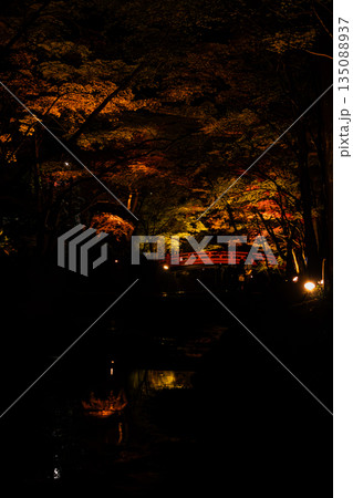 森町の遠江国一宮小國神社の紅葉の風景(静岡県) 135088937