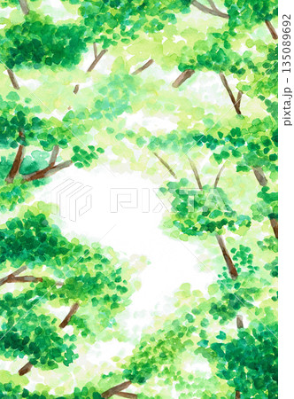 手描きの水彩イラスト　木漏れ日　背景	 135089692