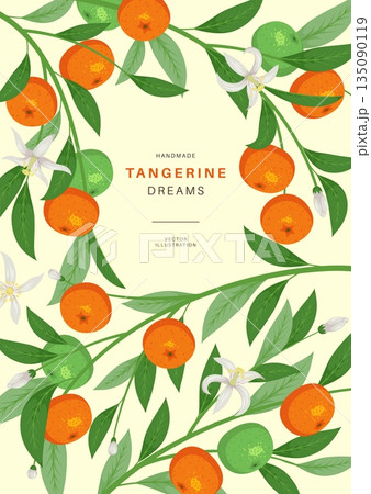Citrus fruit poster. Card design with fruit plant, ripe tangerines on flowering branches background, summer juicy oranges or tangerines, vertical botanical decorative tidy vector concept 135090119