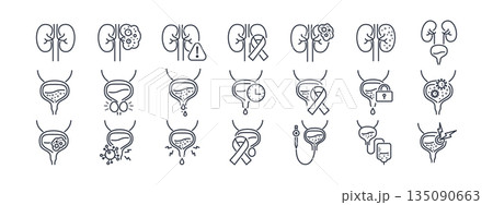 Urology icon set featuring kidney disease, bladder conditions, and prostate health symbols in clean line style for medical websites and healthcare applications. Vector. Editable stroke 135090663