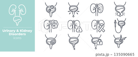 Medical urinary system icons showing kidney stones, bladder infections, and prostate gland illustrations in minimal outline design for health resources and clinical use. Vector. Editable stroke 135090665