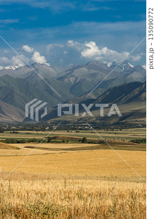 Golden wheat field in foreground with majestic mountain range, distant village Golden wheat field in foreground with majestic mountain range, distant village 135090772
