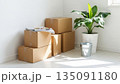 観葉植物と段ボールが並ぶ明るい新生活の白い室内空間 135091180