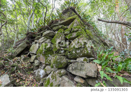佐野鞍懸城跡 135091303