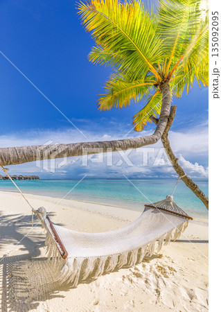 Fantastic summer sunny tropical beach with palm trees swing hammock over soft white sand calm turquoise ocean vertical background remote serene vacation paradise tropical island getaway wallpaper 135092095
