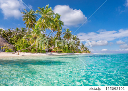 Beautiful tropical beach with palm trees and moody sky summer vacation travel holiday concept Maldives paradise luxury resort ocean view exotic summer getaway background Beautiful tropical beach with palm trees and moody sky summer vacation travel holiday concept Maldives paradise luxury resort ocean view exotic summer getaway background 135092101