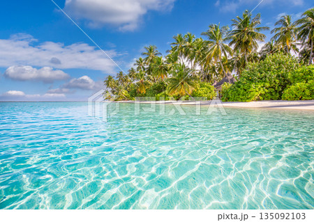 Tranquil tropical beach with palm trees swaying over white sand calm turquoise ocean serene sunset sky luxury Maldives resort summer vacation travel tourism exotic paradise tropical island getaway bac Tranquil tropical beach with palm trees swaying over white sand calm turquoise ocean serene sunset sky luxury Maldives resort summer vacation travel tourism exotic paradise tropical island getaway bac 135092103