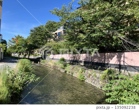 京都・白川沿いの夏の風景 京都・白川沿いの夏の風景 135092238