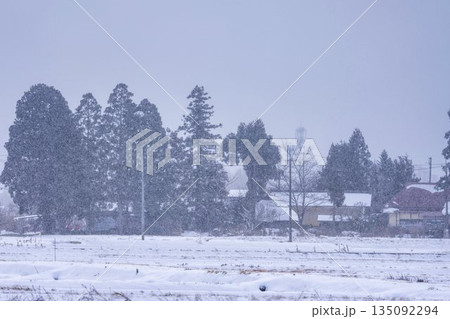 吹雪の会津美里の風景　福島県会津美里町 135092294