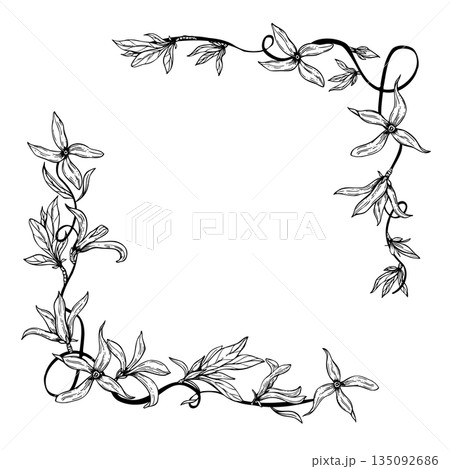 Spring forsythia flowers on climbing branch black ink square border. Monochrome blooming plant vector isolated illustration. Floral frame with empty space for text. For wedding invitation Spring forsythia flowers on climbing branch black ink square border. Monochrome blooming plant vector isolated illustration. Floral frame with empty space for text. For wedding invitation 135092686