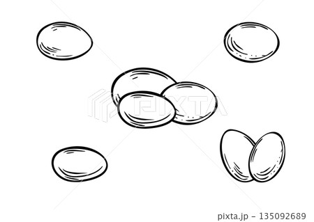 Bird eggs set vector isolated illustration painted by black inks. Monochrome engraving of chicken or duck white egg composition. Cooking ingredients in line art style. Symbol of new life 135092689
