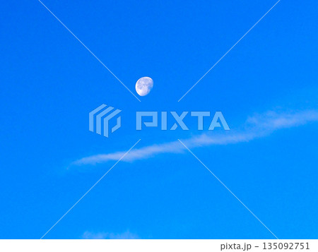 冬空と寒い朝の居待月（神田公園の広場から見上げた白い月） 135092751