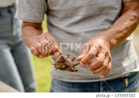 男性がサザエを持つ 【撮影協力：隠岐シーサイドリゾートみやび様】 135093382