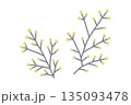 北欧スタイルのシンプルな植物の枝イラスト　黄 135093478