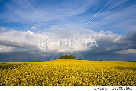 Eifel landscape, Rhineland-Palatinate, Germany Eifel landscape, Rhineland-Palatinate, Germany 135093669