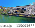 【岡山県】桜咲く春の倉敷美観地区（重要伝統的建造物群保存地区） 135093677