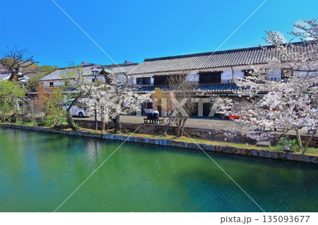 【岡山県】桜咲く春の倉敷美観地区（重要伝統的建造物群保存地区） 135093677