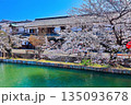 【岡山県】桜咲く春の倉敷美観地区（重要伝統的建造物群保存地区） 135093678