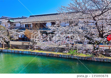 【岡山県】桜咲く春の倉敷美観地区（重要伝統的建造物群保存地区） 135093678