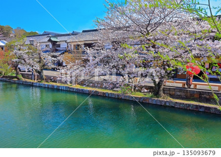 【岡山県】桜咲く春の倉敷美観地区（重要伝統的建造物群保存地区） 135093679