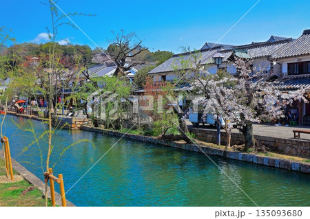 【岡山県】桜咲く春の倉敷美観地区（重要伝統的建造物群保存地区） 135093680
