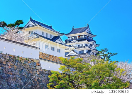 【広島県】桜咲く春の福山城（復興後）福山城桜まつり 135093686