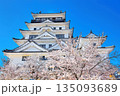 【広島県】桜咲く春の福山城（復興後）福山城桜まつり 135093689