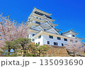 【広島県】桜咲く春の福山城（復興後）福山城桜まつり 135093690