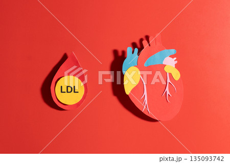 High LDL cholesterol increases the risk of cardiovascular disease. LDL cholesterol particle inside a blood droplet and heart anatomy made from paper on red background. Atherosclerosis concept. 135093742