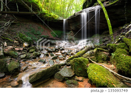 Landscape image with small creek, Eifel, Germany Landscape image with small creek, Eifel, Germany 135093749