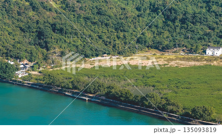 Jan 3 2026 Kuk Po Reed Field Rural Wetland Landscape Hong Kong 135093819