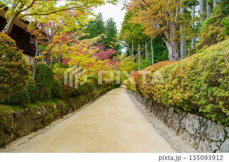 高野山　新緑の蛇腹道 135093912