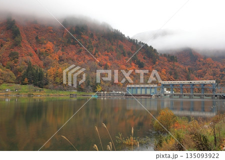 只見川沿いの紅葉と上田ダム/福島県金山町 只見川沿いの紅葉と上田ダム/福島県金山町 135093922