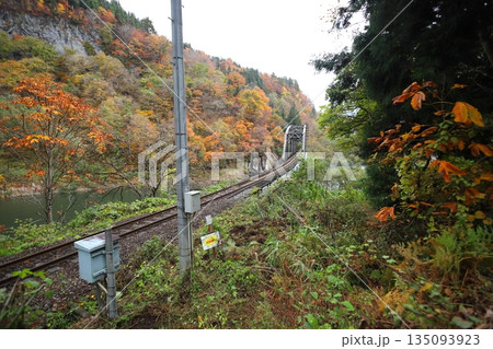 秋の只見線　第四只見川橋梁 135093923