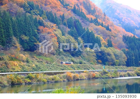 紅葉する奥会津と只見線／福島県大沼郡金山町 135093930