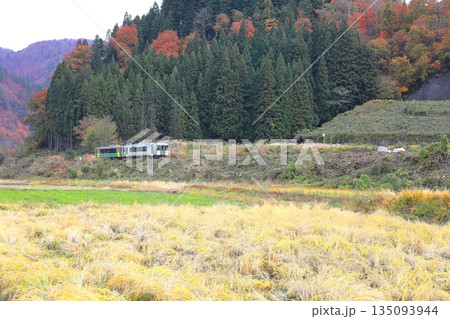奥会津を走る只見線/福島県大沼郡金山町 奥会津を走る只見線/福島県大沼郡金山町 135093944
