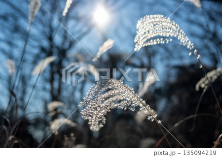 高尾エリア縦走登山、東京 135094219