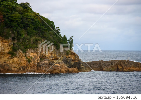 海辺の岩と緑の崖 海辺の岩と緑の崖 135094316