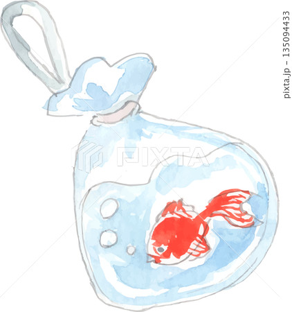 金魚すくいの袋に入った金魚のイラスト　ベクター 135094433