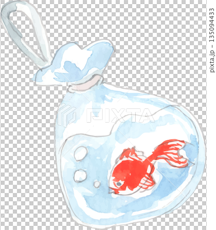 金魚すくいの袋に入った金魚のイラスト　ベクター 135094433
