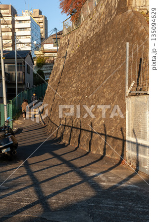 崖下に伸びる長い階段の坂道・文京区 135094629