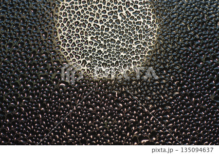 密集の不可思議な世界・光を浴びる水滴 135094637