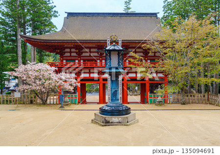 桜に囲まれた高野山　壇上伽藍　中門 135094691