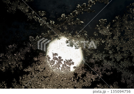 硝子窓で発達した氷の結晶 135094756