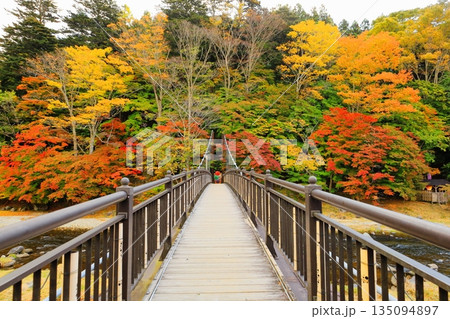 塩原温泉郷の紅の吊橋/栃木県那須塩原市 塩原温泉郷の紅の吊橋/栃木県那須塩原市 135094897