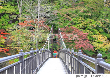 塩原温泉郷の紅の吊橋/栃木県那須塩原市 塩原温泉郷の紅の吊橋/栃木県那須塩原市 135094898