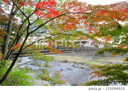 塩原温泉郷の紅の吊橋／栃木県那須塩原市 135094918