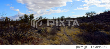 Landscape Sonoran Desert Arizona Landscape Sonoran Desert Arizona 135095039